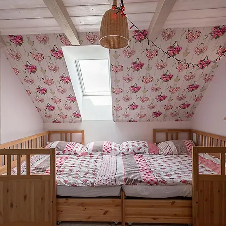 Paseky Alpesi faház